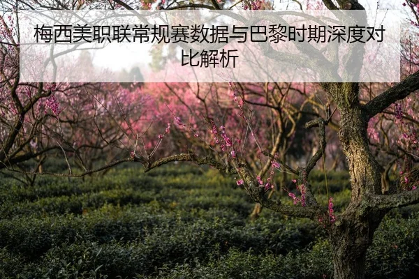 梅西美职联常规赛数据与巴黎时期深度对比解析